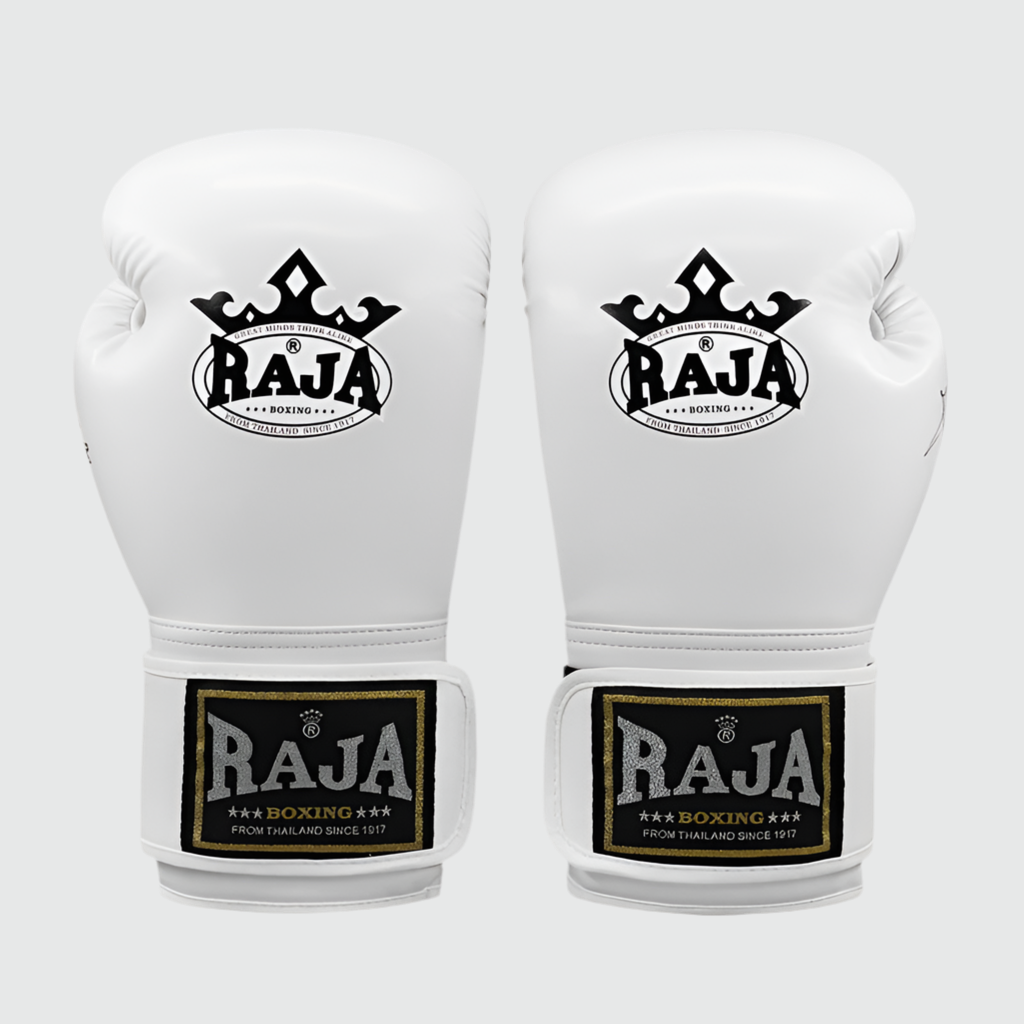 ARIA RAJA PRO Boxing Gloves