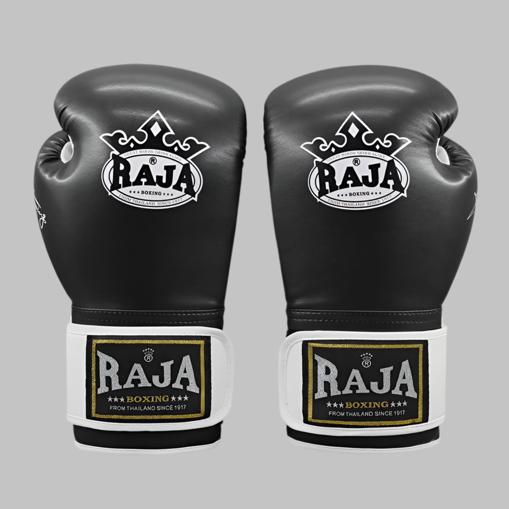 ARIA RAJA PRO Boxing Gloves
