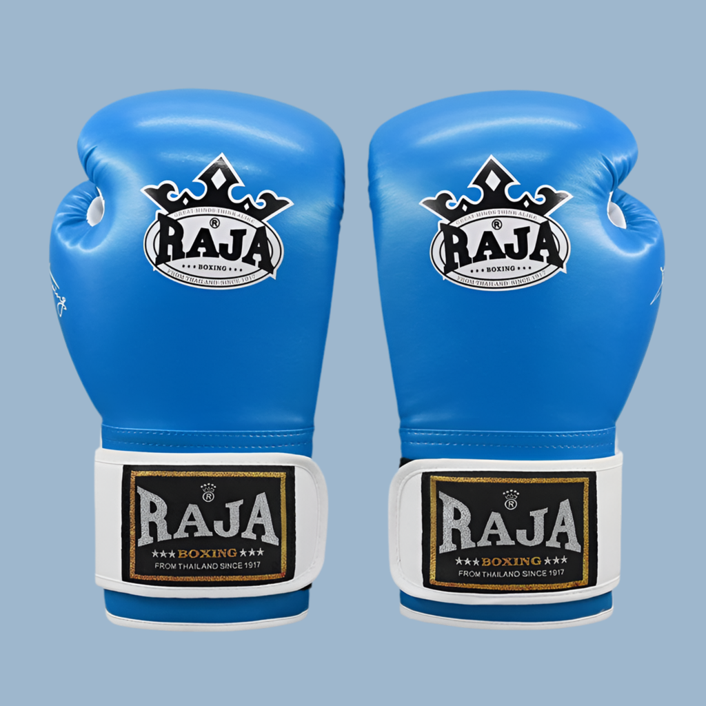 ARIA RAJA PRO Boxing Gloves