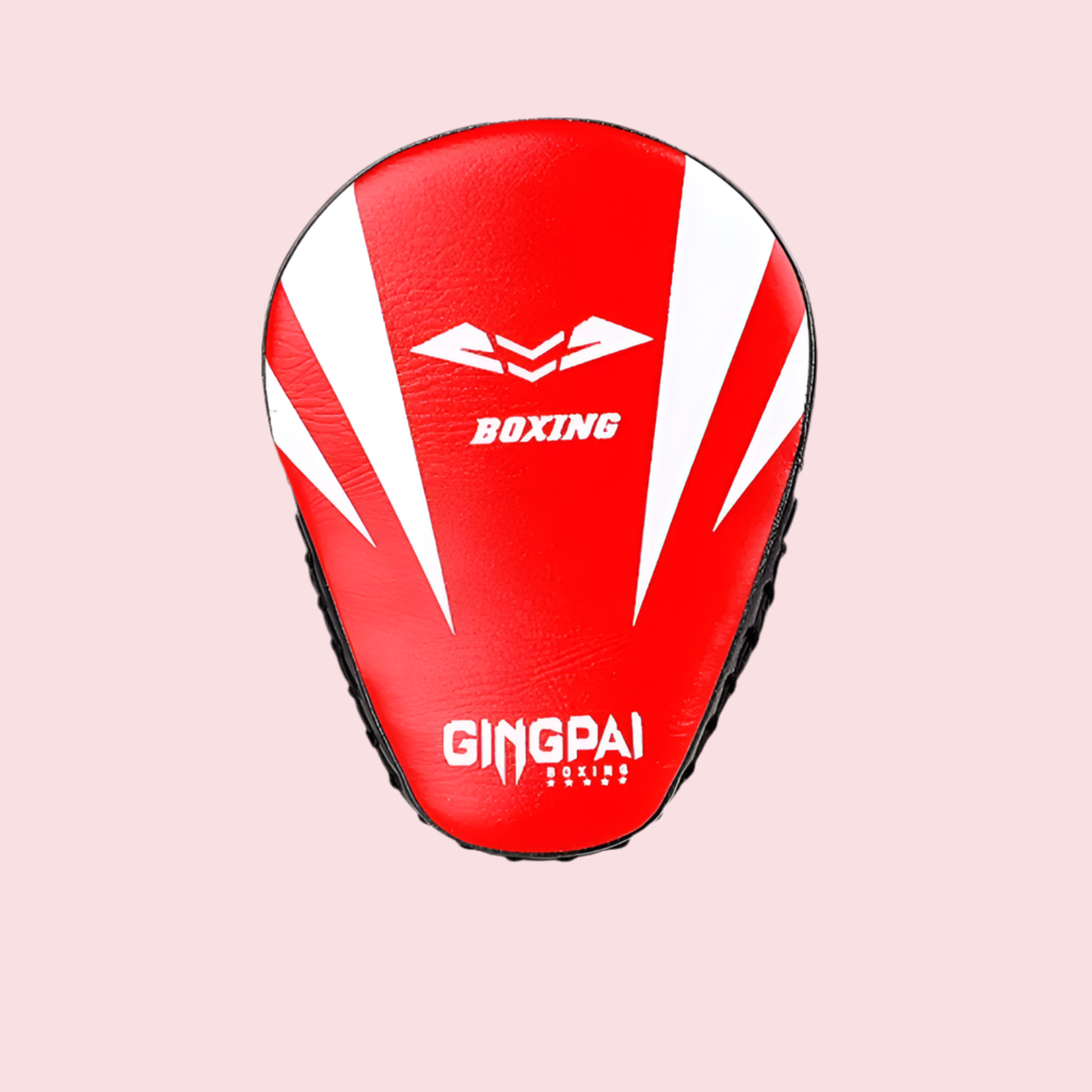 ARIA STRIKE PRO
