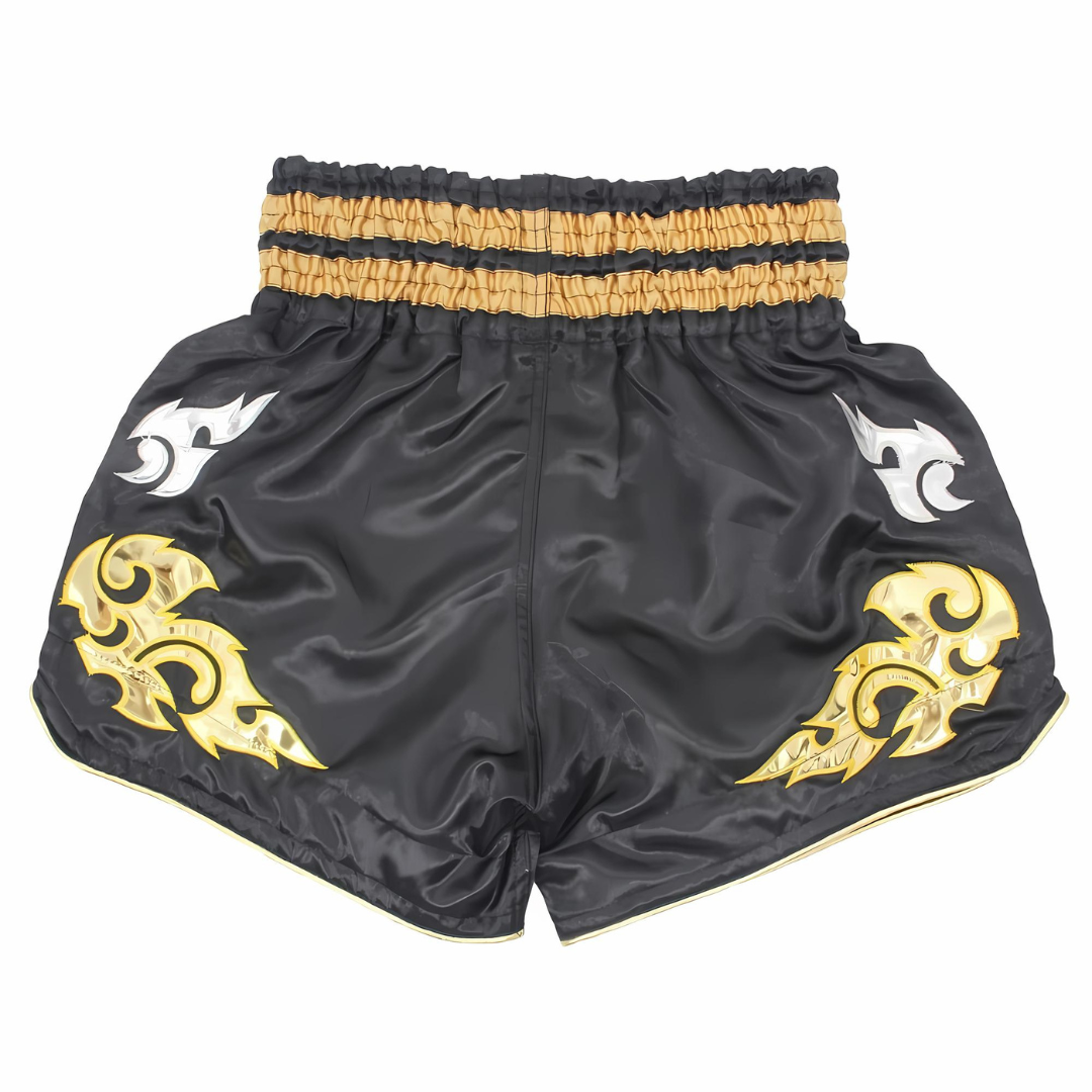 ARIA KING PRO BOXING Shorts