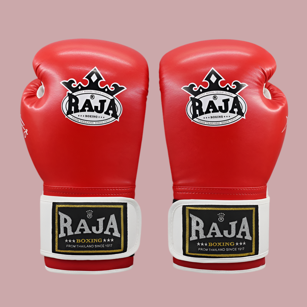ARIA RAJA PRO Boxing Gloves