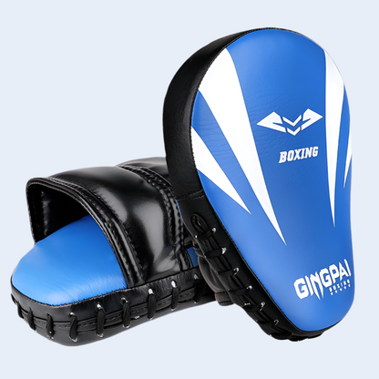 ARIA STRIKE PRO