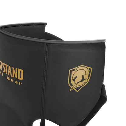 ARIA GROIN PROTECTOR PRO